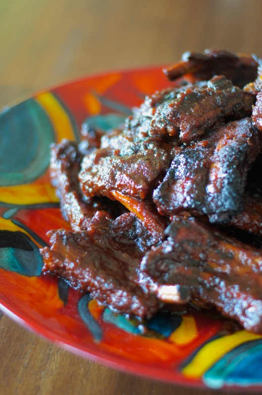 Opa's BBQ'd Pork Ribs - A Pat & A Pinch