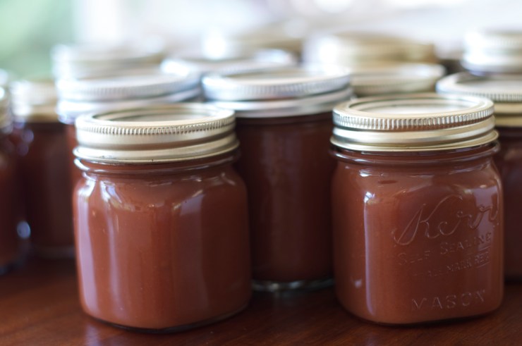 Spiced Apple Butter - A Pat & A Pinch