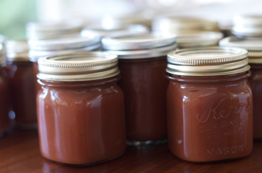 Spiced Apple Butter - A Pat & A Pinch