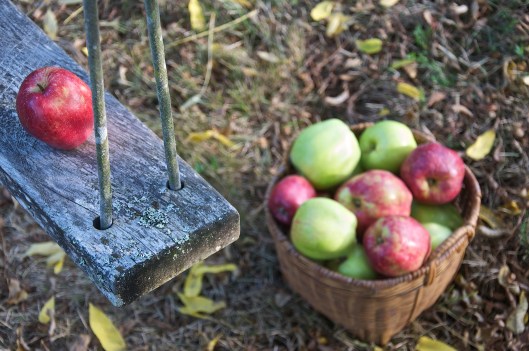 Spiced Apple Butter - A Pat & A Pinch