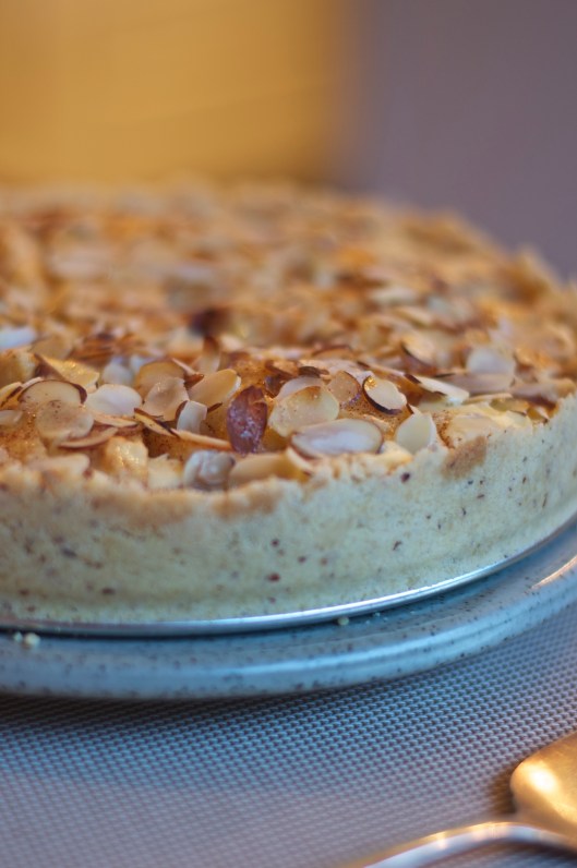 Nancy's Apple Torte - A Pat & A Pinch