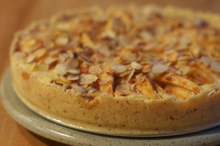 Nancy's Apple Torte - A Pat & A Pinch